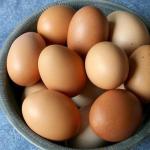 Fresh Brown Chicken Eggs | Farm Fresh Desi Eggs for Daily Nutrition